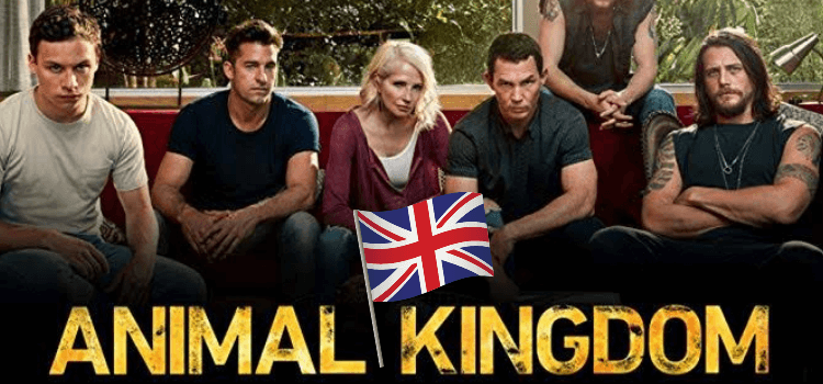 Animal Kingdom on Netflix in UK